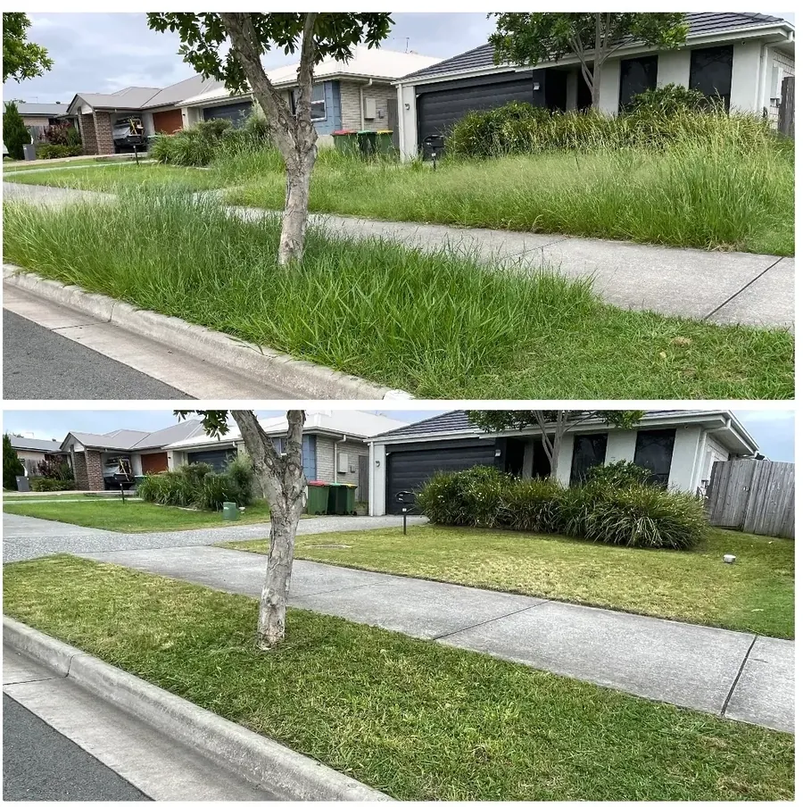 Before and after: overgrown nature strip and front yard cut back and tidied — yard clean-up Gold Coast