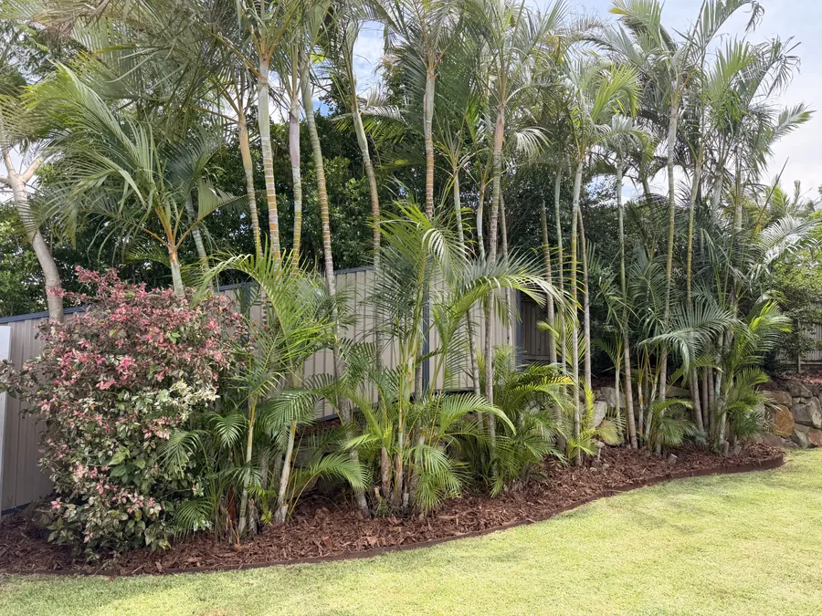 Garden bed freshly mulched along a colorbond fence — garden maintenance Gold Coast